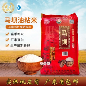 马坝油粘米14.5kg煮粥煮饭软熟南方米非30斤新米广东包邮实惠装