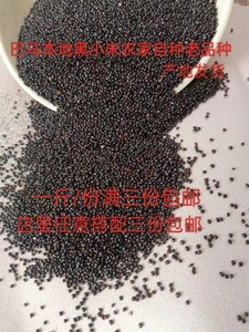 广西巴马特产黑小米500g新米杂粮五谷非红小米