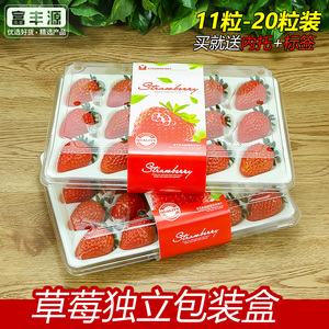 透明草莓包装盒一次性水果盒精品草莓分格盒防震草莓礼品打包盒