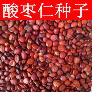 新疆酸枣仁种子 酸枣种子 净籽 南酸枣仁 酸枣核 枣子种子枣树籽