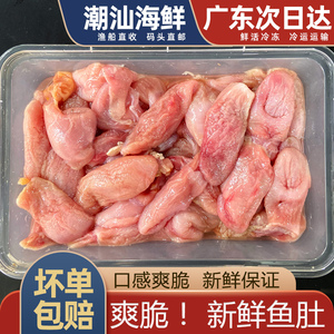 新鲜鱼肚深海鱼泡鱼鳔鱼花胶冷冻海鲜水产海鱼肚500g爽脆石斑鱼扣