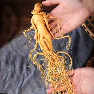 长白山新鲜人参白参非野生人参 泡酒煲汤滋补保鲜参特级 多种规格