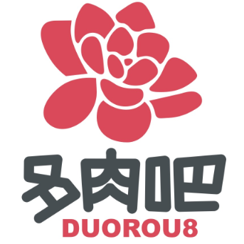 照片无美化 实物拍摄 多肉植物 多浆植物 萌萌小盆栽【46元区】