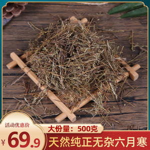 六月寒中药材500g正品野货六月寒大风寒草红花野芝麻野薄荷路边梢