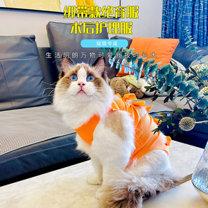 猫咪绝育服透气母猫手术服宠物小猫猫断奶衣服术后公猫防舔防掉毛