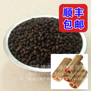 肉桂种子肉桂籽桂皮树种子新鲜摘玉桂种子肉桂核肉桂树苗种籽包邮