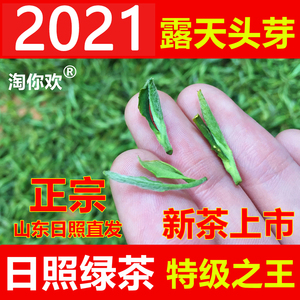 山东日照绿茶2021新茶正宗特级春茶露天芽头袋装浓香型雪青茶500g