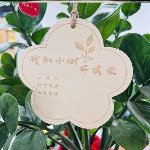 定做植树节挂牌挂在树上的牌子名字植物纪念牌树牌卡木质学校小吊