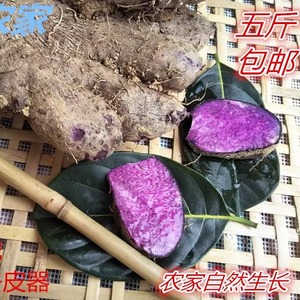 广西自然生长现挖新鲜脚板薯紫山药紫玉淮山紫薯糖水粉糯 毛薯5斤