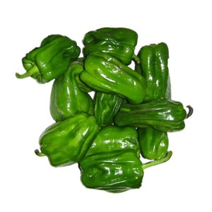 东北薄皮麻椒 辣椒 青椒 新鲜蔬菜