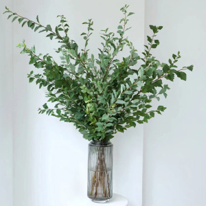 云南小手球叶鲜花家用水养鲜切花昆明基地直发插花顺丰绿色母亲节