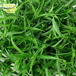 铁汕忧遁草黎王草优遁草优盾草优顿草鳄嘴花鲜叶嫩叶榨汁草本营养