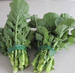 远东春生鲜 新鲜蔬菜 四川 青油菜苔 京津冀满68包邮顺丰