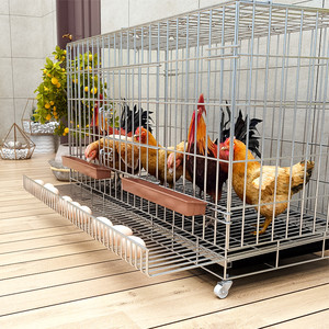 家养鸡笼兔子养殖场专业用简易鸡笼阳台无臭养鸡下蛋关鸡鸭的笼子