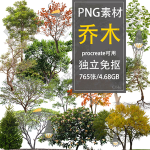 园林景观后期樱花树常绿落叶丛生造型乔木高清PNG图片psd免抠素材