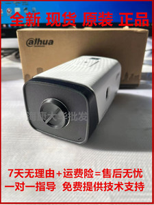 大华DH-IPC-HF32XYZE-ABCD 200万POE高清宽动态网络摄像机内置MIC