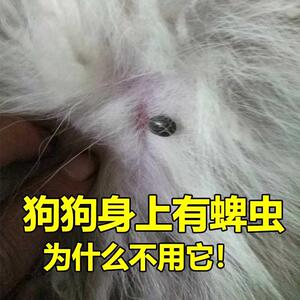 宠物狗治蜱虫药