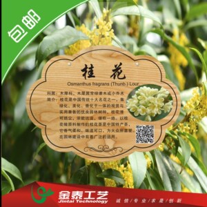 440人付款淘宝定制古树名木保护说明标识牌树木编码标牌挂牌乌柏桂花