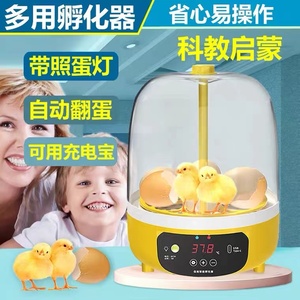 小鸡孵化器小型家用 芦丁鸡鹌鹑鸽子家禽蛋儿童全自动智能孵化箱