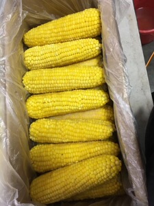【速冻玉米棒整箱40根】速冻玉米棒整箱40根品牌,价格 - 阿里巴巴