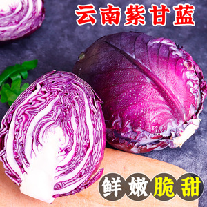 云南新鲜紫甘蓝包菜紫色莲花白蔬菜沙拉卷心菜当季整箱包邮3斤