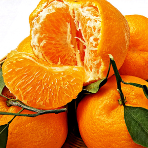 四川粑粑柑特级