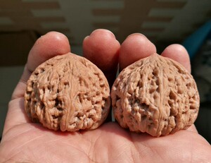 精品精配 野生小众文玩核桃 玛瑙红 承德密纹狮子头