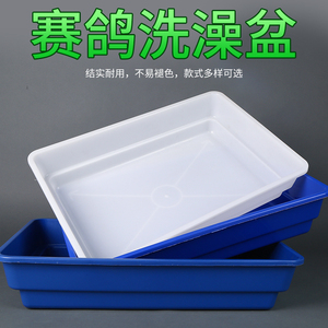 赛鸽信鸽专用大号澡盆 鸽子洗澡盆浴盆鸽子用品用具鸽具栖架站架