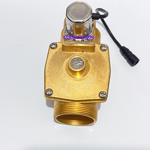 大便感应器配件电磁阀脉冲电磁阀蹲便冲水阀铜阀体总成冲洗阀膜片