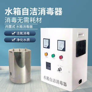 自洁消毒器臭氧机臭氧水箱消毒器内置式外置式WTS-2A 水处理设备