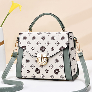 蜘蛛王女士手提包