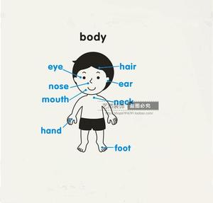 幼儿园早教中心儿童英语培训班身体部位英文单词图文墙贴纸画装饰
