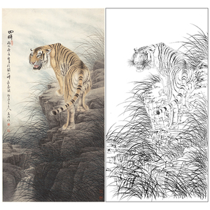 工笔画底稿老虎