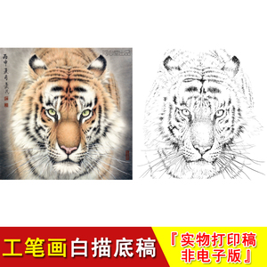 工笔画虎白描底稿