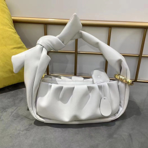 song褶皱云吞包2021新款牛皮李佳琪推荐款单肩腋下手提斜挎小包包