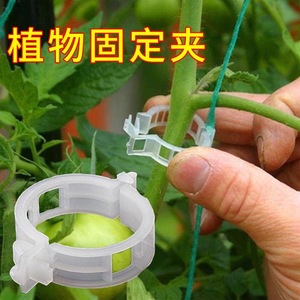 植物瓜果塑料绑蔓夹固定夹绑枝吊蔓卡扣西红柿夹蔬菜固定大棚耐用