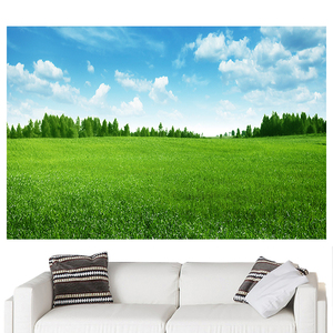 大草原风景画草地