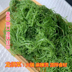 盐渍龙须菜海草1斤5斤新鲜商用麻辣烫火锅凉拌才食材海藻菜石花菜