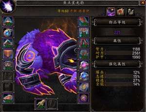 魔兽世界正式服60级账号德鲁伊绝版法师塔挑战外观幻化星光豹子