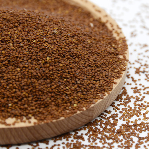 手搓冰粉籽石莲籽气泡白凉粉木莲籽豆腐木瓜籽凉粉籽商用食用500g