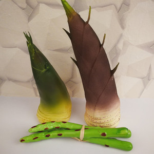 仿真竹笋春笋大号塑料泡沫假蔬菜果实农作物模型田园样板放装饰品