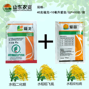 先正达福戈 爱苗 水稻专用卷叶螟杀虫剂纹枯病杀菌剂组合4g 10ml