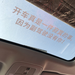 开车真是一件寂寞的事汽车个性创意网红文字定制天窗反光车贴纸