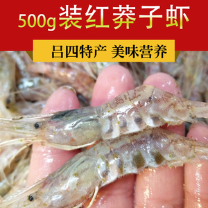 吕四红莽子虾特产红蟒子红芒子呛虾醉虾500g装