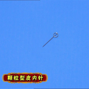 针灸耳针 嵌针埋针中医治疗24支图钉式皮内针庞驰保健用品专营店60