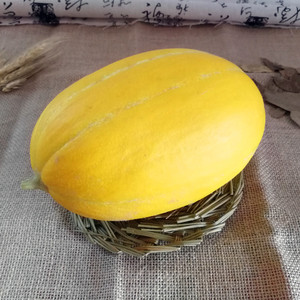 1只黄金菜瓜新鲜 脆瓜 绿色健康甜水果 用天然肥崇明特产老品种瓜