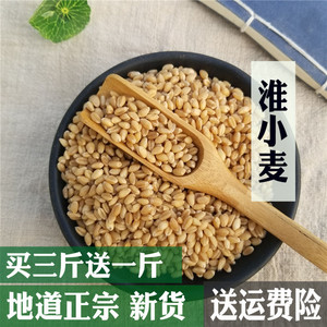 淮小麦中药材正品500克包邮淮小麦野生甘草大枣茶失眠
