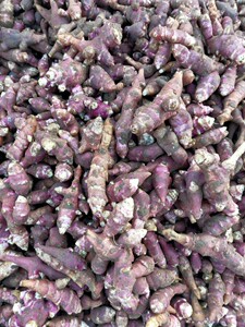 野生东北地环新鲜姜不辣紫色皮洋姜酱腌制咸菜食用现挖发两份邮