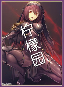 动漫周边 fate fgo 斯卡哈 单张卡套