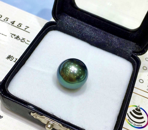 ms liz真科研lagoon拉贡裸珠天然大溪地海水黑珍珠孔雀绿正圆女